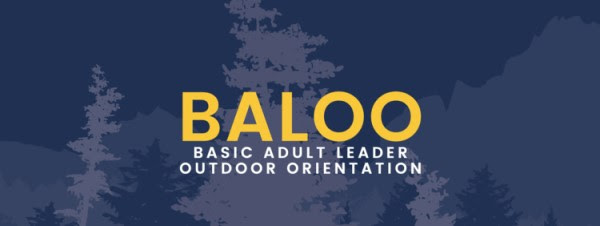 BALOO banner