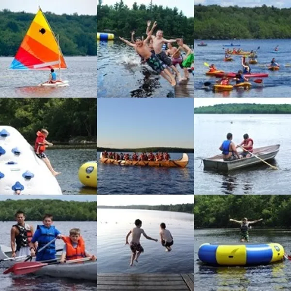 Aquatics on Stillwater Lake Collage