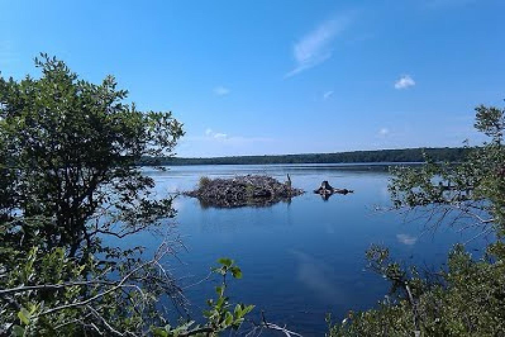 Camp Minsi Ecology Beaver Lodge