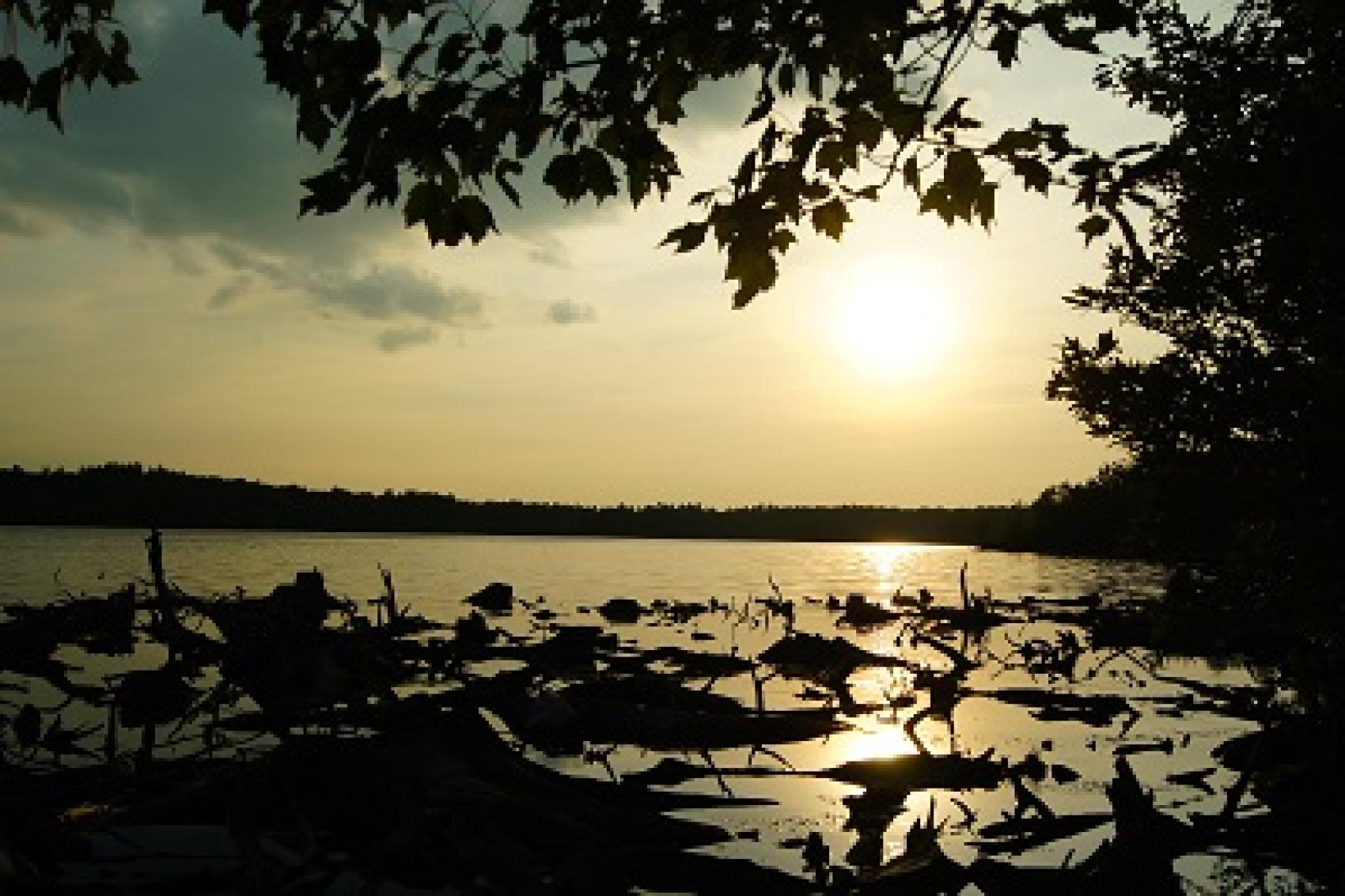 Camp Minsi Ecology Lake Stumps